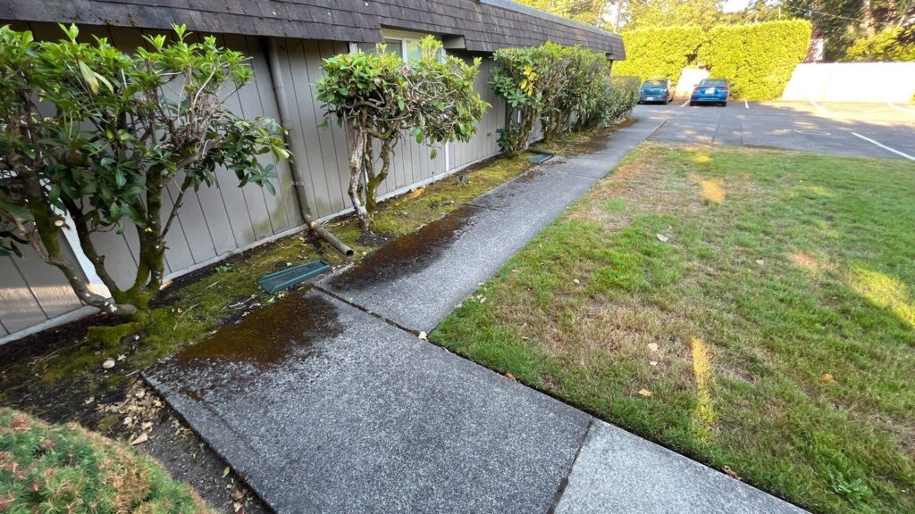Learn how concrete cleaning safety can help
