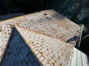 Roof cleaning services in Bonney Lake WA
