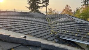 Roof moss removal near me before spring rain