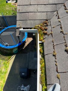 Spring gutter cleaning in May removing compacted debris