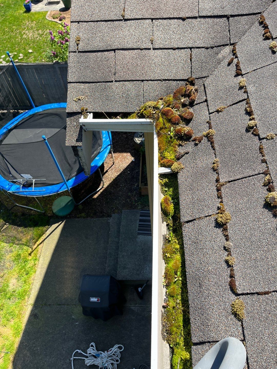 Spring gutter cleaning in May removing compacted debris