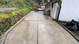 Summer driveway cleaning removing oil and algae stains