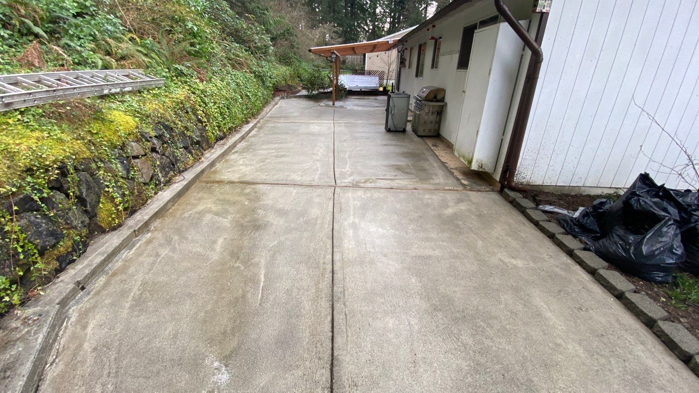 Summer driveway cleaning removing oil and algae stains